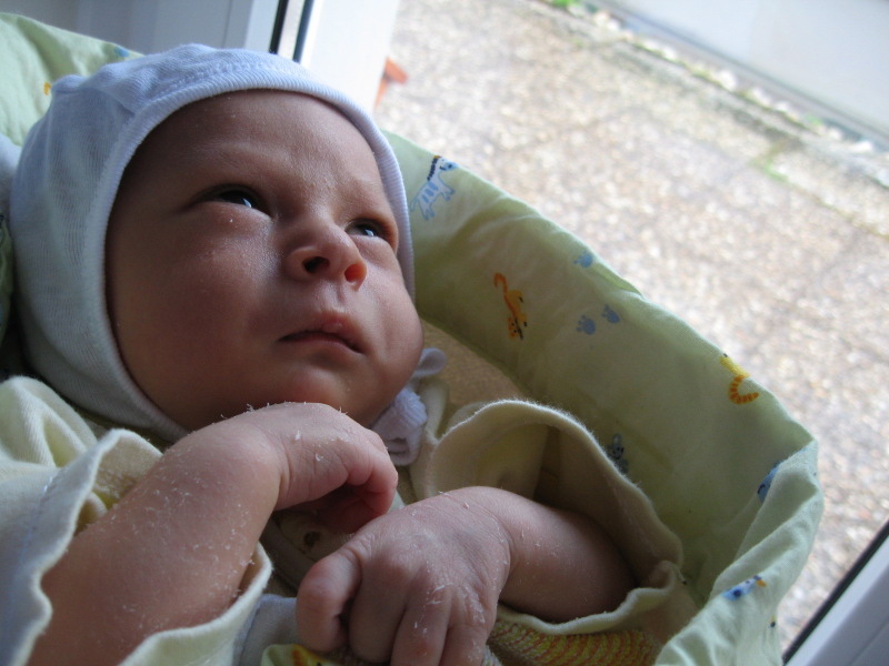 Der kleine Pilot